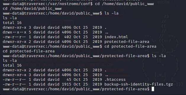 HackTheBox “Traverxec” Walkthrough, figure 11