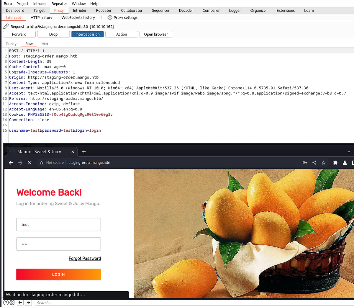 HackTheBox “Mango” Walkthrough, figure 4