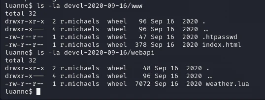 HackTheBox “Luanne” Walkthrough, figure 28