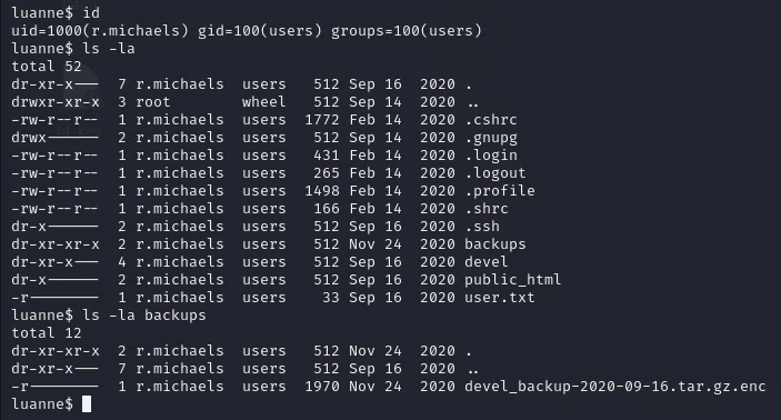 HackTheBox “Luanne” Walkthrough, figure 25