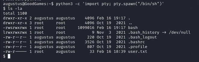 HackTheBox “GoodGames” Walkthrough, figure 25
