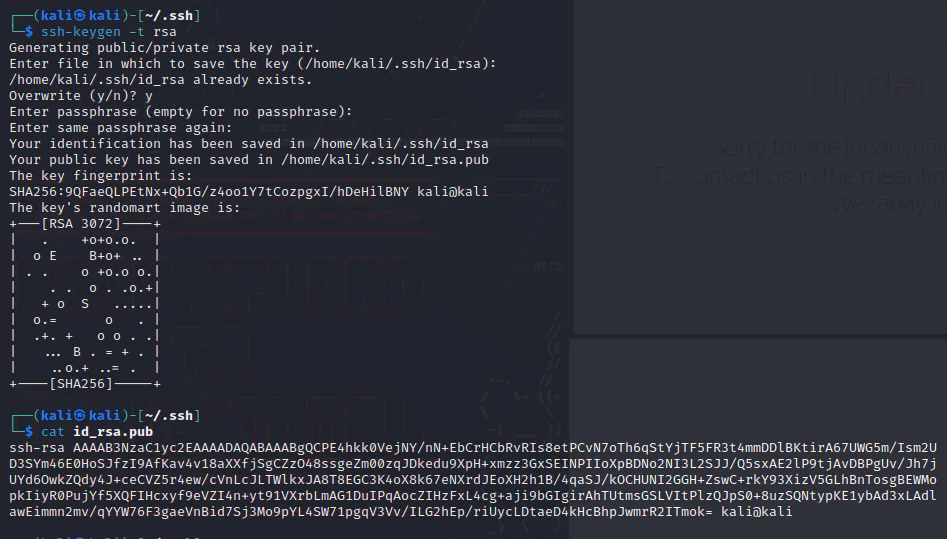 HackTheBox “Mango” Walkthrough, figure 12