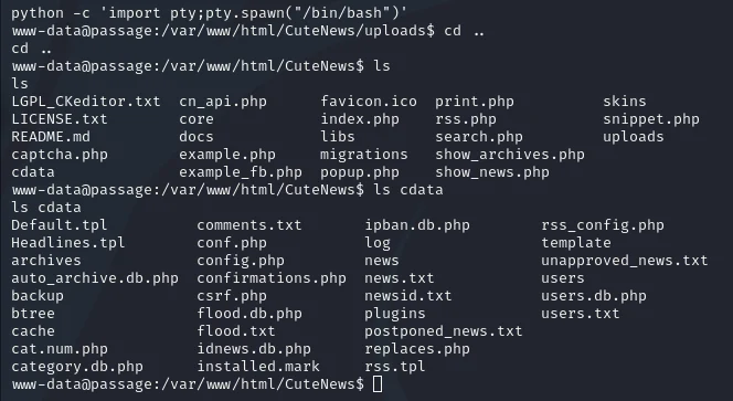 HackTheBox “Passage” Walkthrough, figure 10