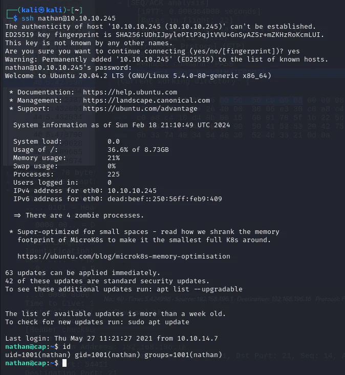 HackTheBox “Cap” Walkthrough, figure 10