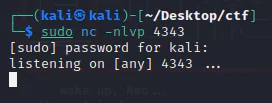 HackTheBox “Doctor” Walkthrough, figure 18