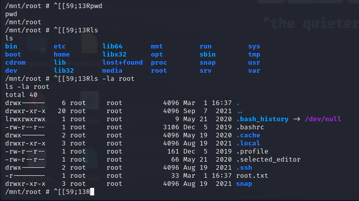 HackTheBox “Tabby” Walkthrough, figure 25