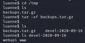 HackTheBox “Luanne” Walkthrough, figure 27