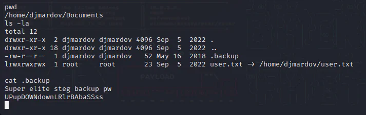 HackTheBox “Irked” Walkthrough, figure 12