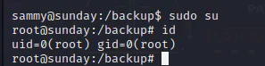 HackTheBox “Sunday” Walkthrough, figure 13